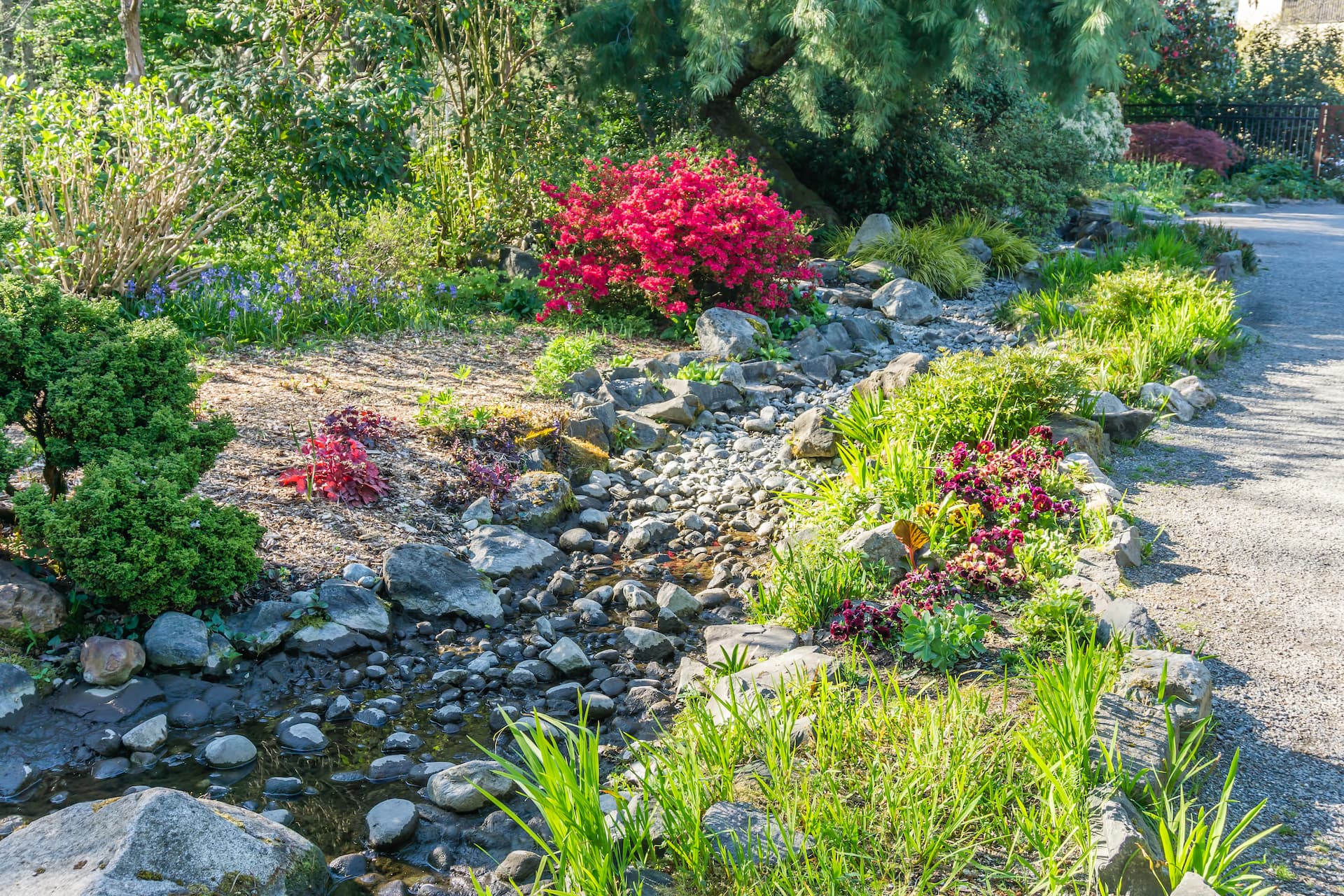 Xeriscape design dry creek beds installation